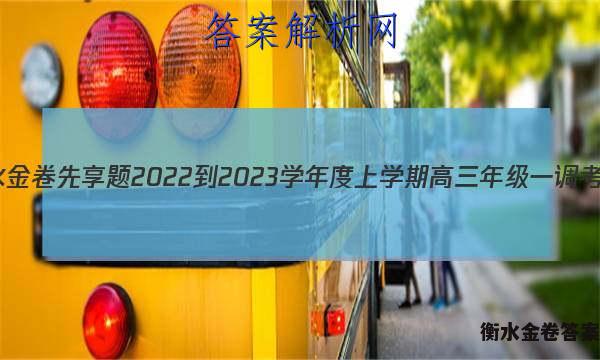 衡水金卷先享题 2022-2023学年度上学期高三年级一调考试(老高考)理数答案